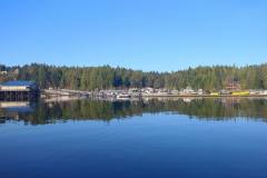 Knudson Cove Marina